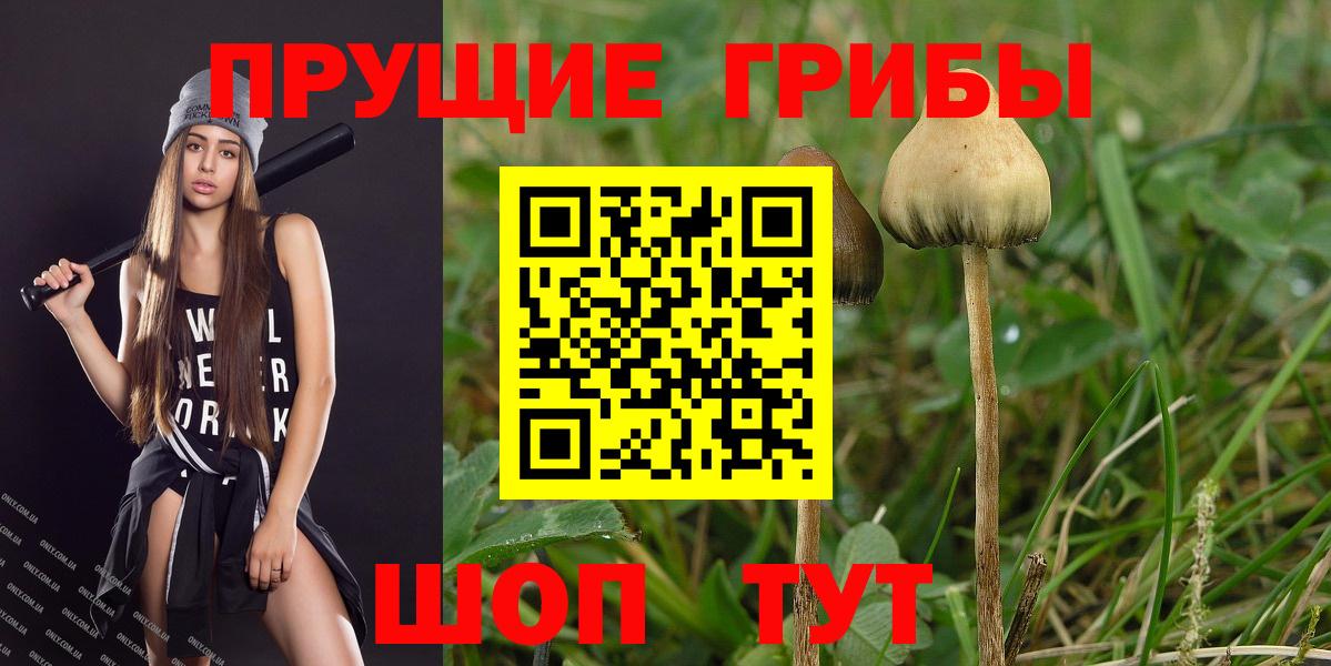 Псилоцибиновые грибы мицелий Ревда