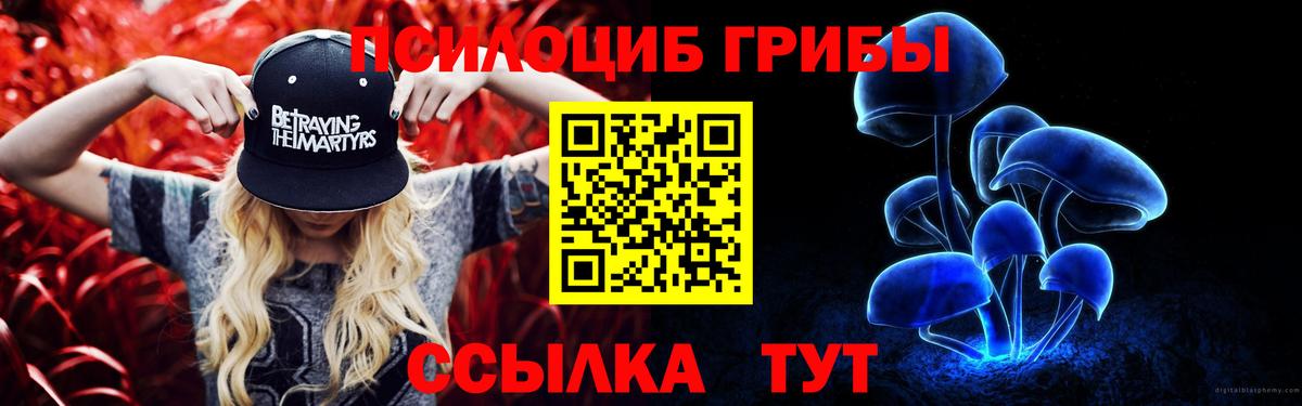 Ревда  Псилоцибиновые грибы Magic Shrooms  Вход с VPN 