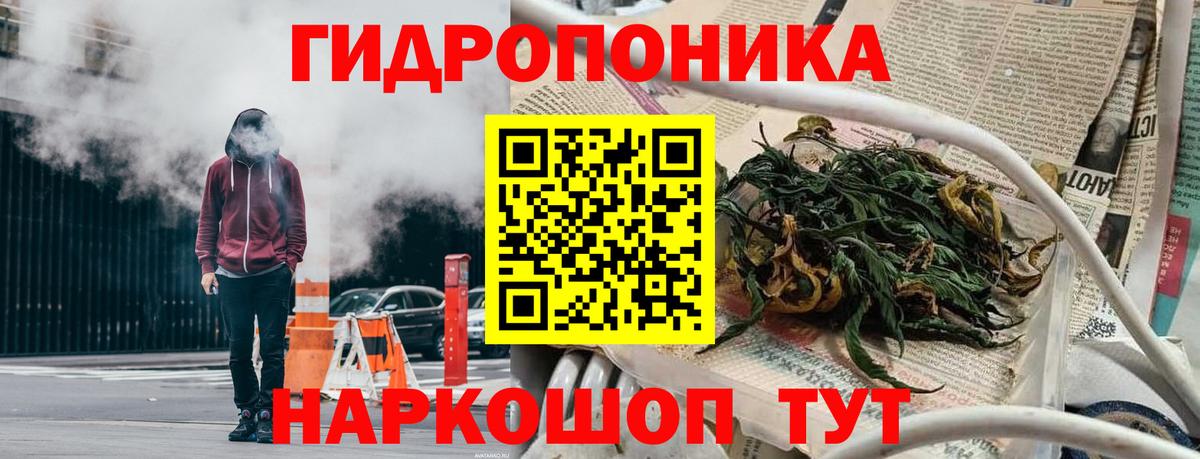 Бошки Шишки план Ревда